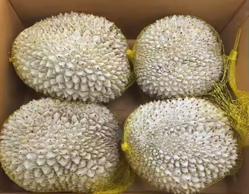 Sầu riêng nguyên quả đông lạnh 