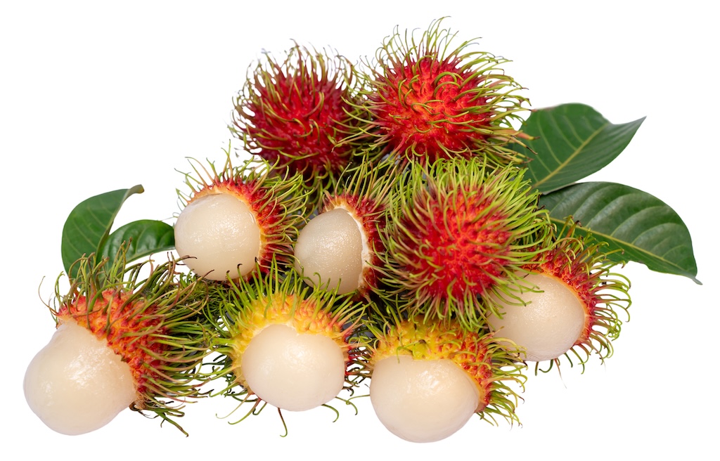 Chôm chôm 