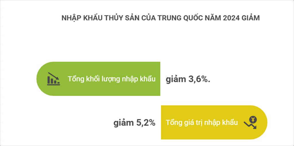 Nhu cầu thủy sản Trung Quốc mạnh mẽ giữa những thách thức kinh tế năm 2025