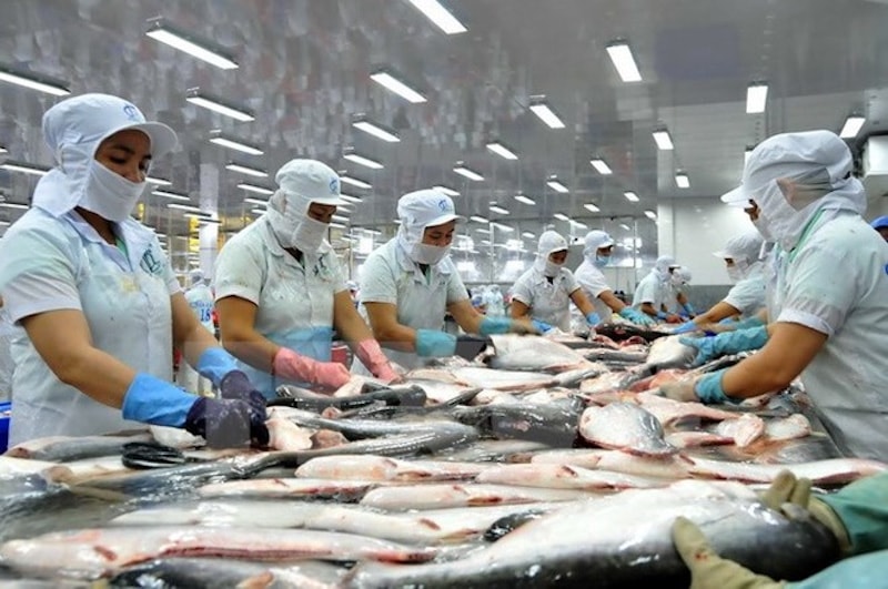 Doanh nghiệp ứng phó việc EU lần đầu quy định dư lượng asen vô cơ trong thủy sản