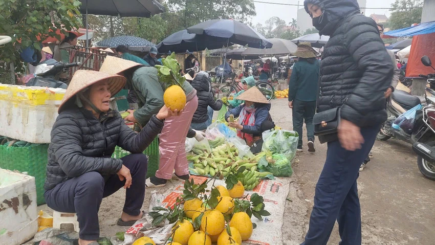 Giá trái cây tăng đến mức nào trong dịp Tết Nguyên đán 2025?