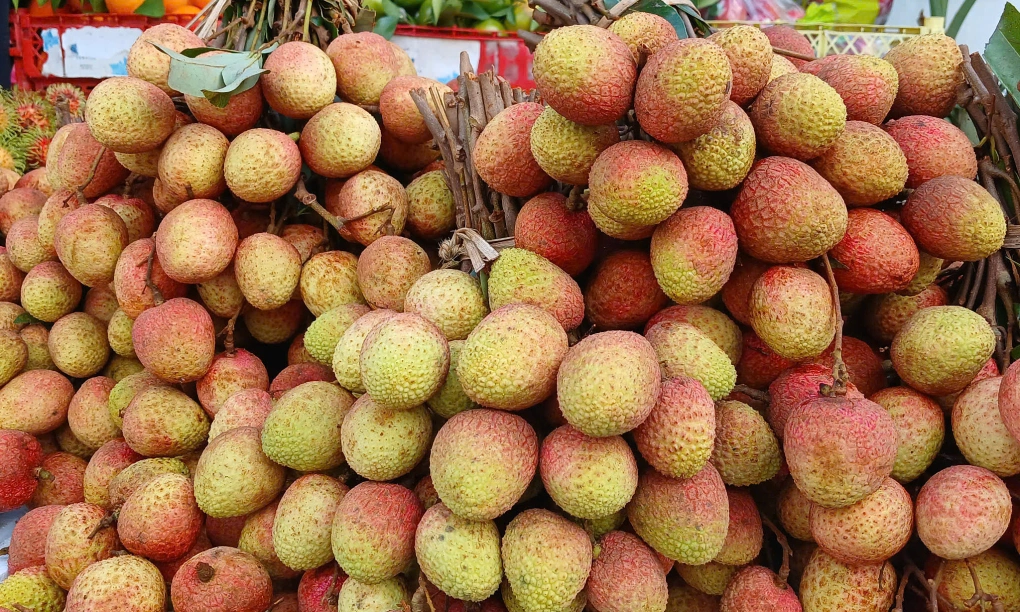 Vải thiều rớt giá