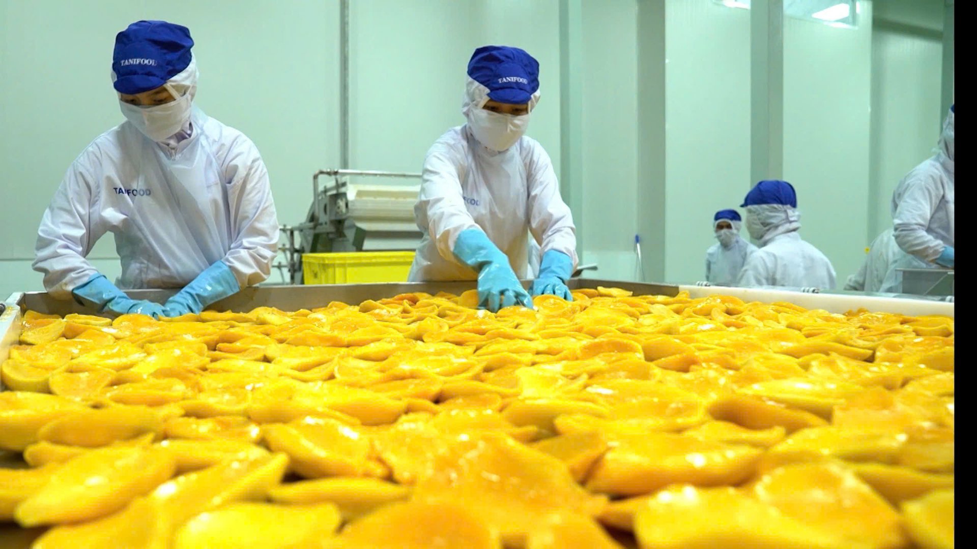 Xuất khẩu rau quả Việt Nam 6 tháng đạt trên 3 tỷ USD